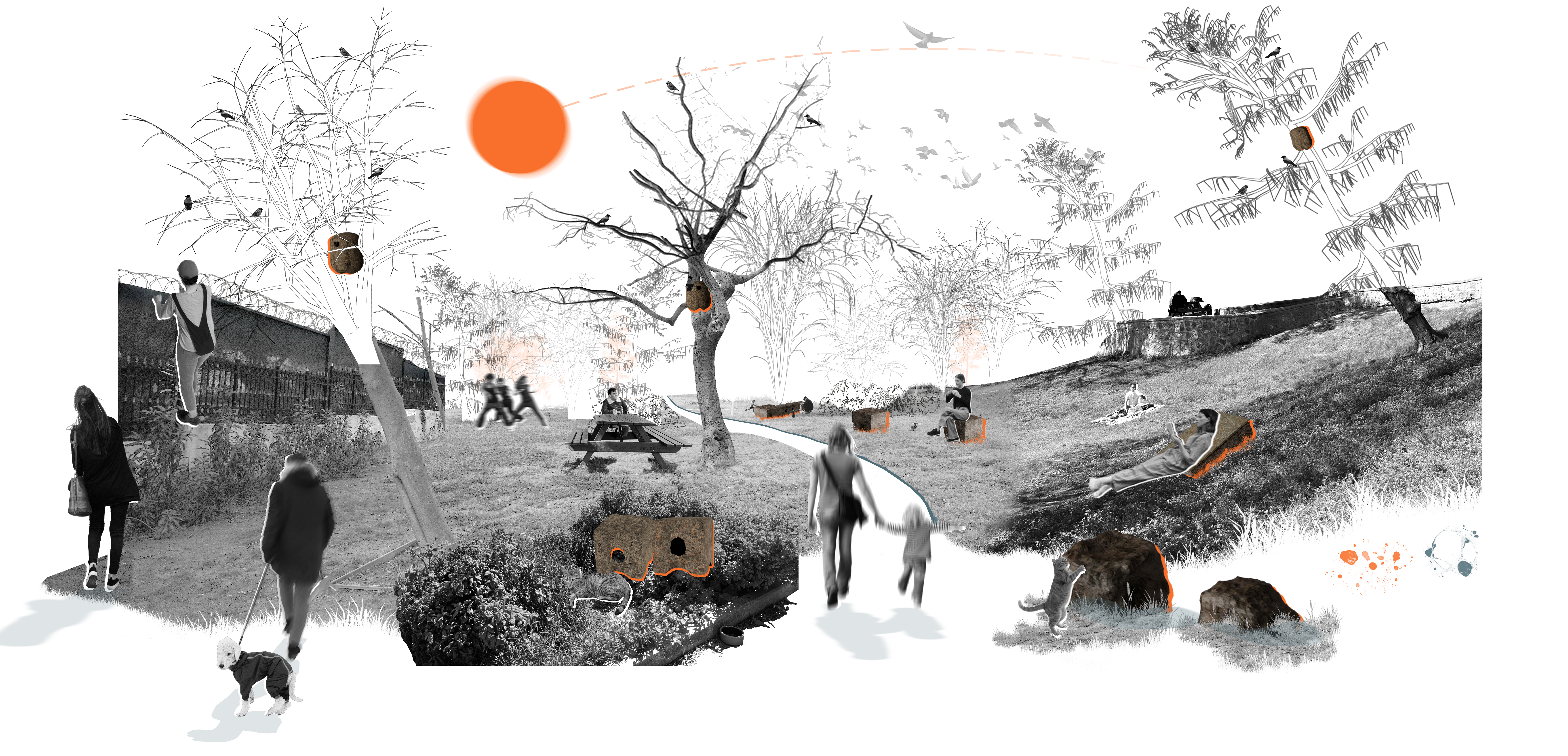 Soft Babylon Project