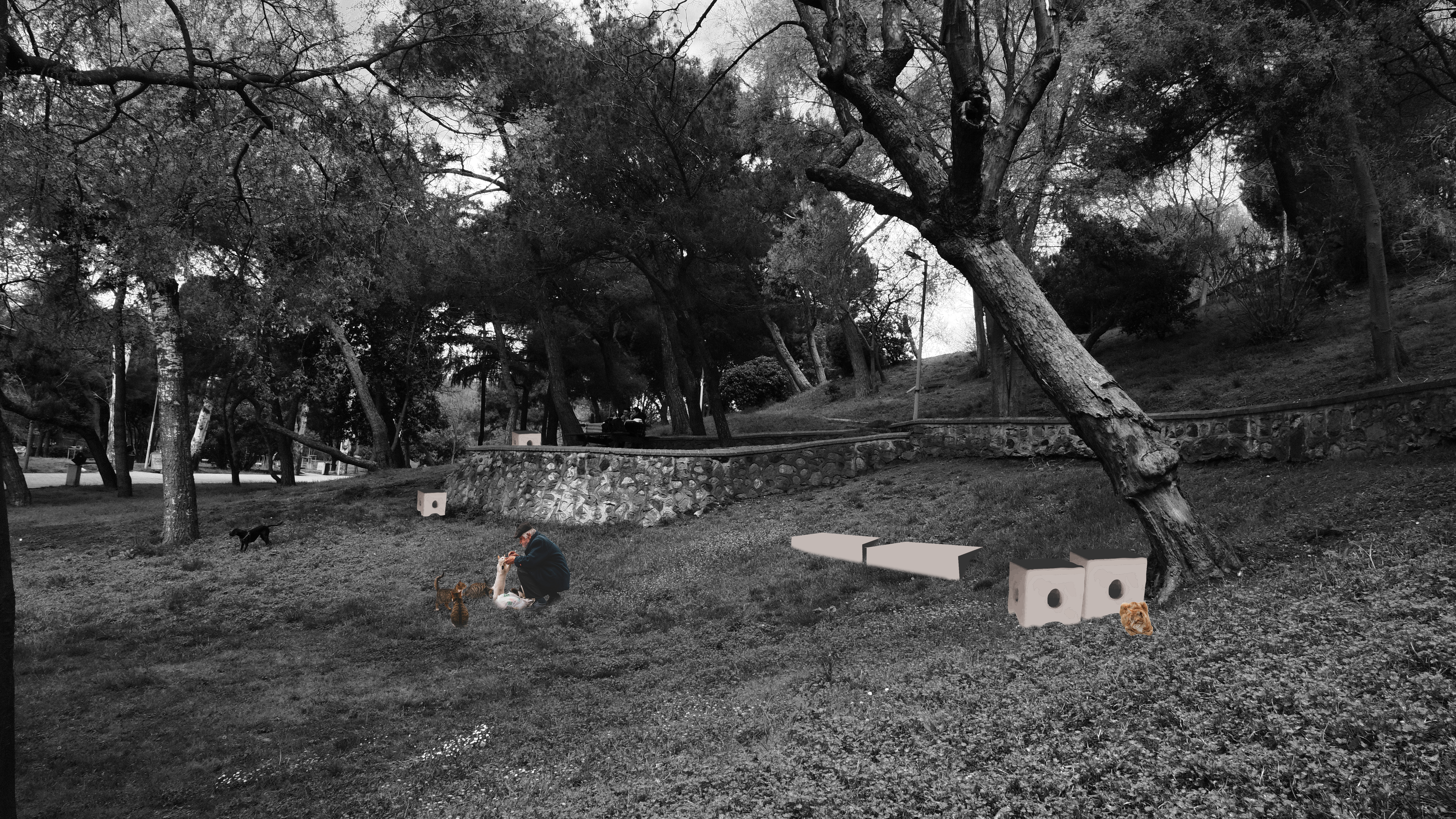 Soft Babylon Project